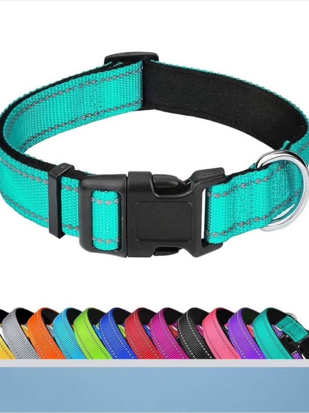 Adjustable Teal Dog Collar with Padded Comfort - small